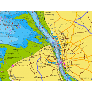 Navionics+ Plus Regular Area