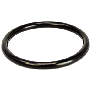 Airmar Black O-Ring for DST800 Non-Valve Housing 20-519-01