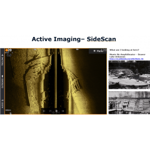 ActiveImaging™ HD 3-in-1 Medium/High SideScan Fish Reveal