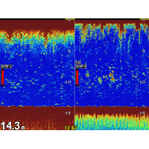 Hondex HE-1511-WB-Bo 15" Wide Band Echosounder